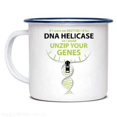 DNA helicase