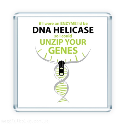 DNA helicase