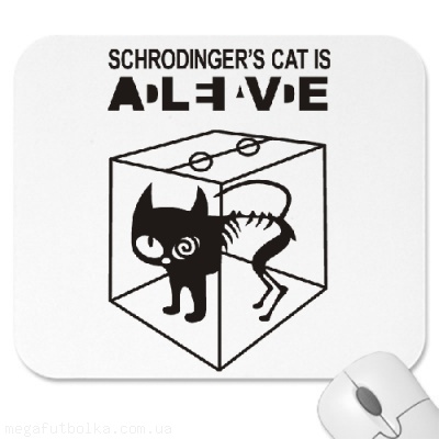 Schrodingers cat is